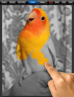 Color Splash Screenshot 1