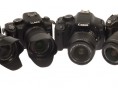 Link to: Lab Test: Reflex action – six DSLRs compared