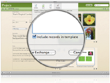 bento4_export_original