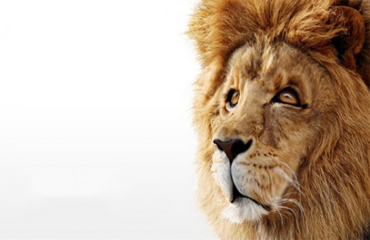 Sad Mac OS X Lion