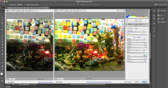29-0520create20photoshopcs620camera20raw-276097
